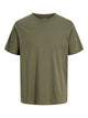 Olive Night
