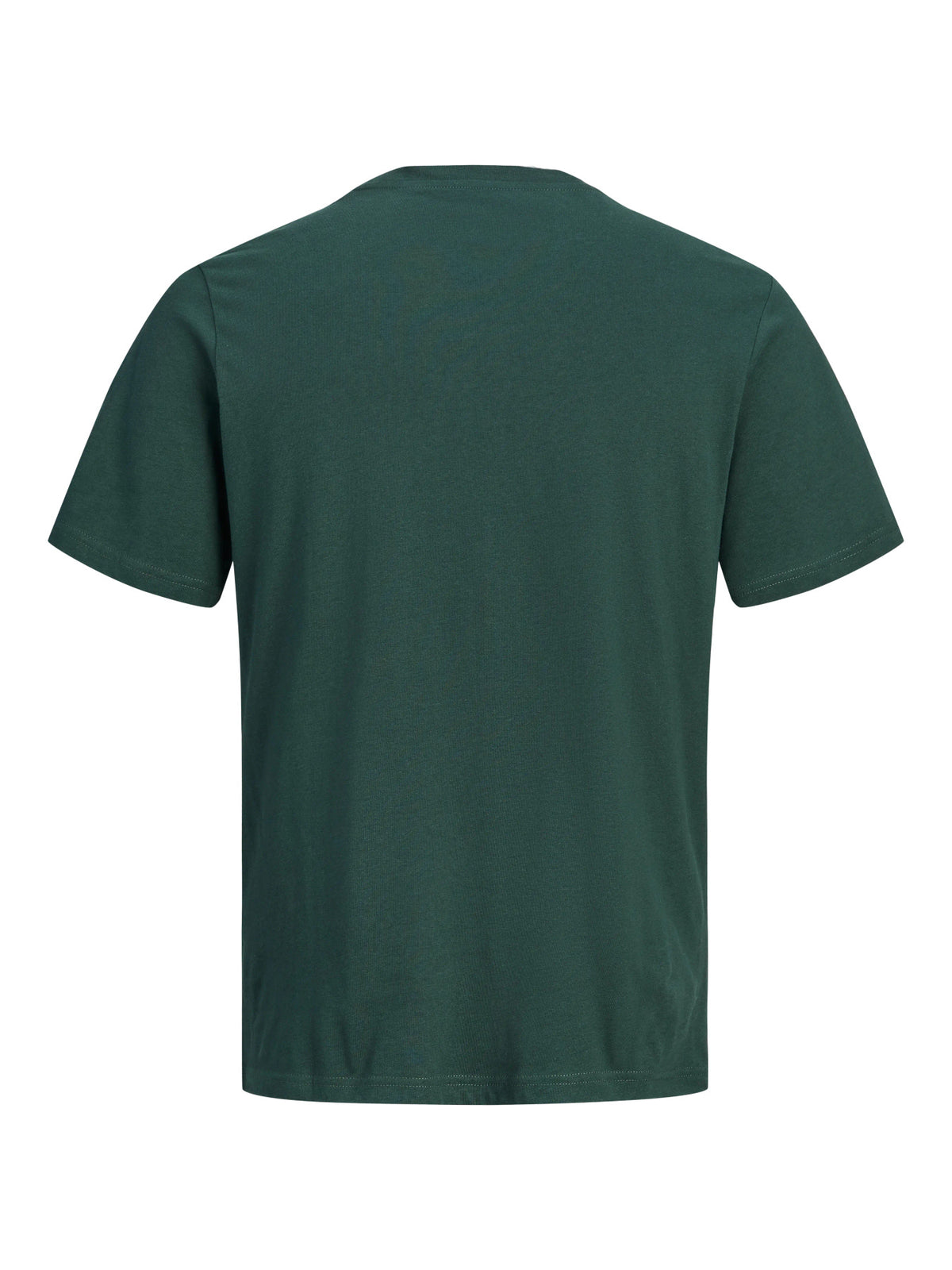 Tshirt uomo - Scarab