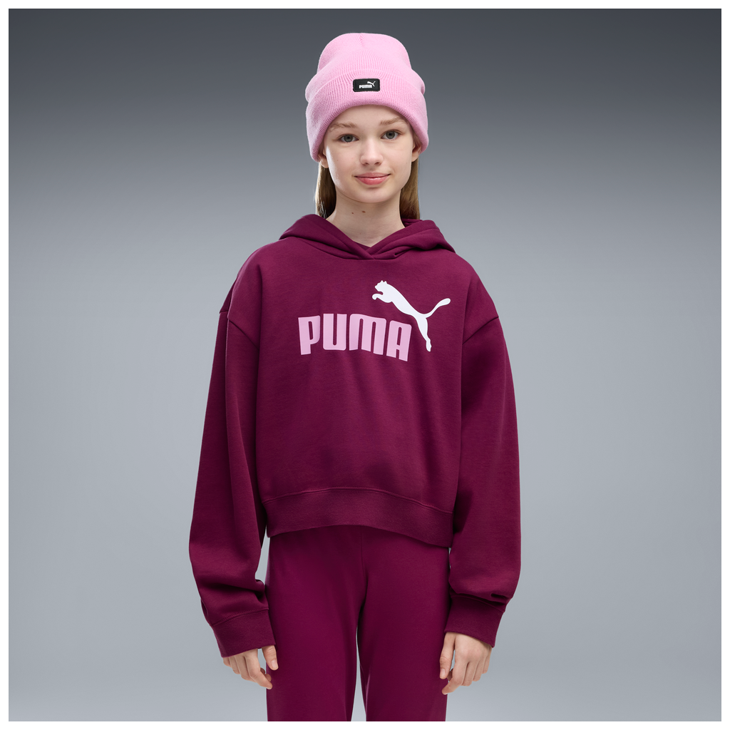 ESS 2 COLOR No, 1 Logo? Short Length Hoodie FL G 7 - 41