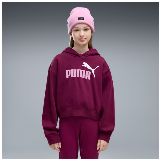 ESS 2 COLOR No, 1 Logo? Short Length Hoodie FL G 7 - 41