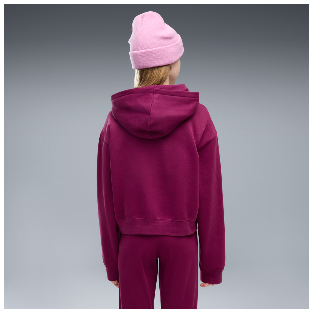 ESS 2 COLOR No, 1 Logo? Short Length Hoodie FL G 7 - 41