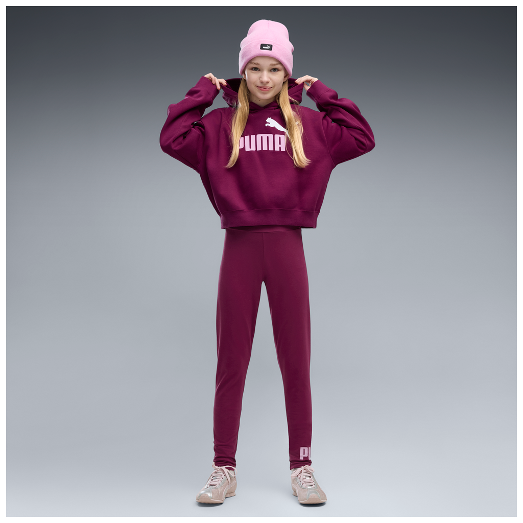 ESS 2 COLOR No, 1 Logo? Short Length Hoodie FL G 7 - 41