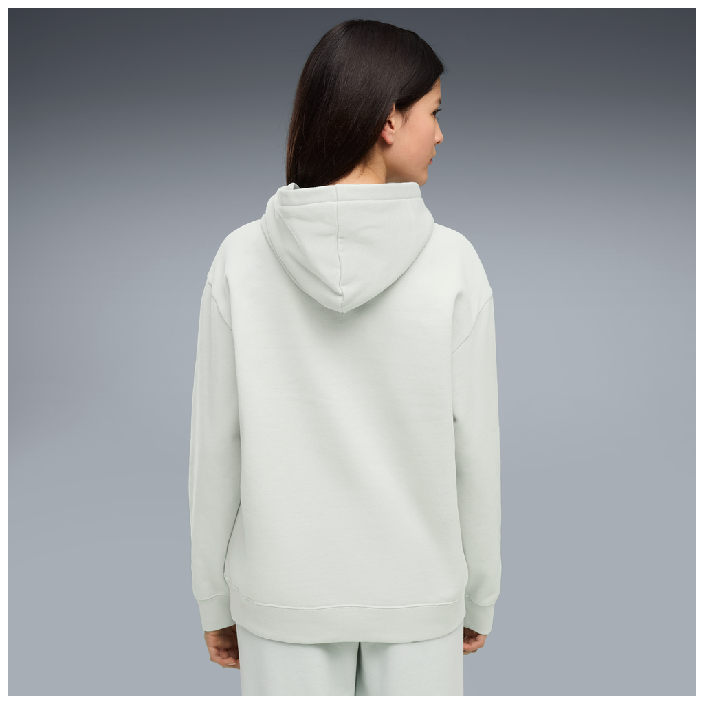 ESS Centered Cat Logo Relaxed Hoodie FL G 7-16A - 29