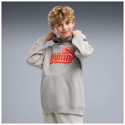 ESS LOGO LAB Relaxed Hoodie FL BB 7-16A - 63