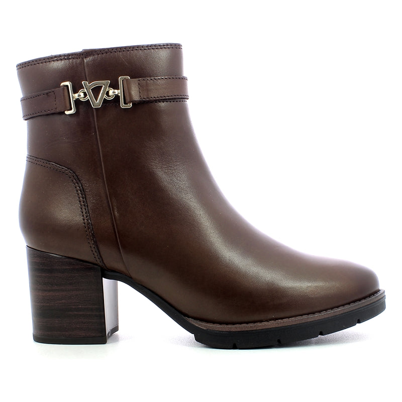 Polacco vitello donna - Vitello Marrone