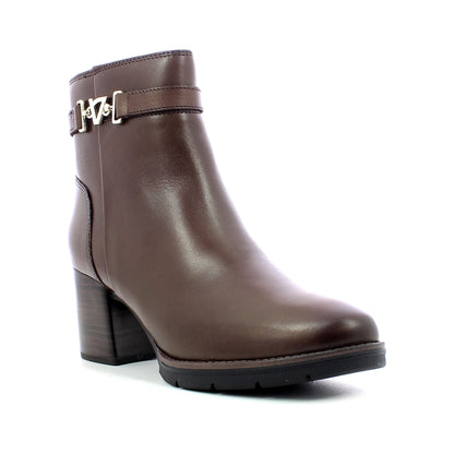 Polacco vitello donna - Vitello Marrone