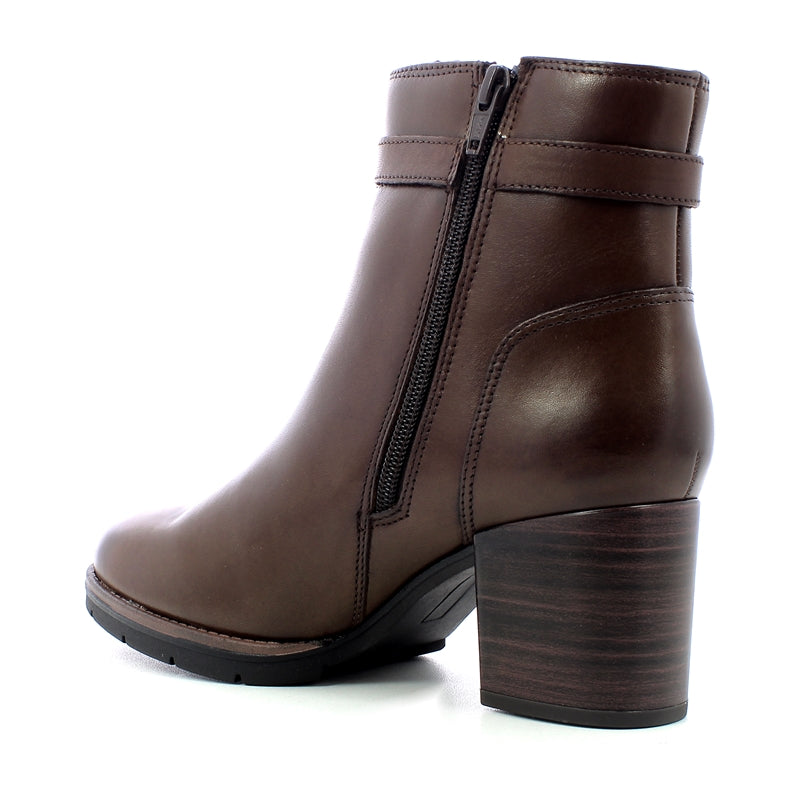 Polacco vitello donna - Vitello Marrone