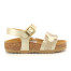 BEIGE PLATINO