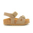 BEIGE 332