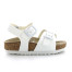 CHAMPION BIANCO