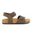 DOLMEN MARRONE