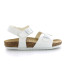 CHAMPION BIANCO