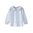 Subdued Blue