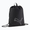 Puma Plus Gym Sack