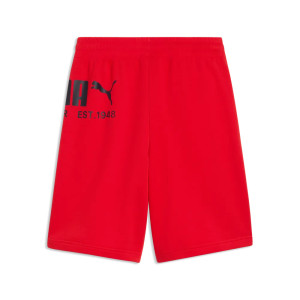 Puma Sport Graphic Shorts
