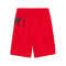 Puma Sport Graphic Shorts