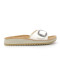 Pantofole Donna Fascia Con Fibbia Pantofole Donna Fascia Con Fibbia